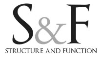 Audio Interview - Sue Falsone - The Shoulder DVD