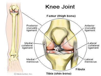A Joint-By-Joint Approach to Training