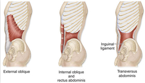 Fatigue Compensation Part II&##x3a; Functional Abdominal Training