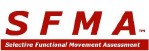 SFMA Update 2009 and the Significance of Regional Interdependence