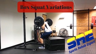 Box Squat Variations and Purpose