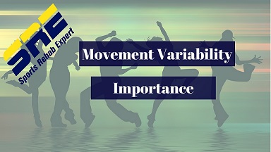 Movement Variability Importance