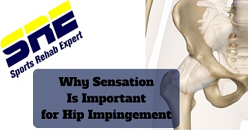 The Importance of Sensation in Hip Impingement Cases