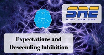 Expectations and Descending Inhibition
