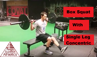 Single Leg Squat To Box