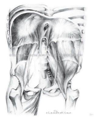 Introducing Postural Restoration&trade; to the Sports Clinician