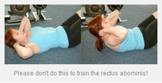 Should We Train the Rectus Abdominus&##x3f;