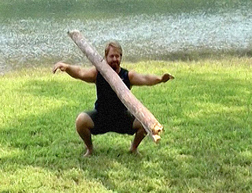 Exploring Functional Movement